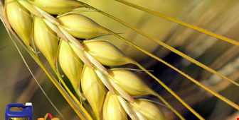 GIE 1000 fertilizer based on organic formulation
